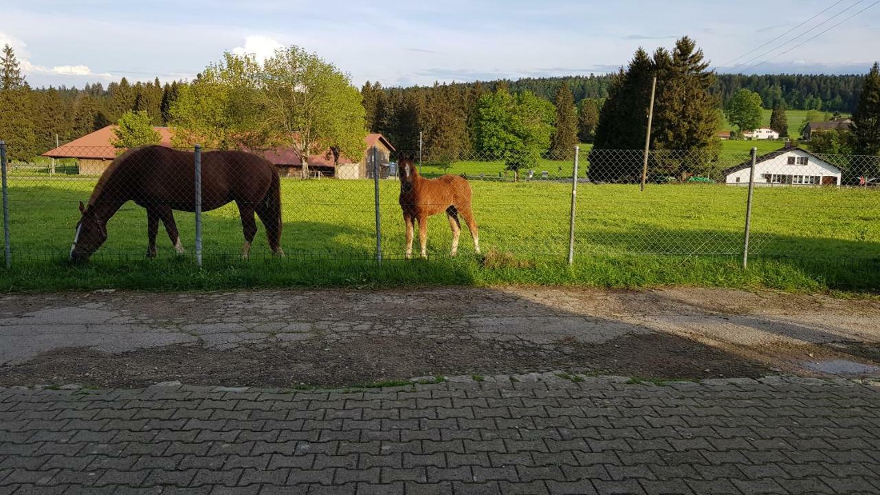 "Sous Les Barres" Leilighet Montfaucon Eksteriør bilde